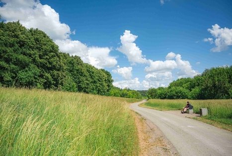 Miško Takas 65. Lampėdžiai – Kulautuva.