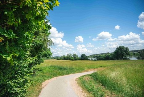 Miško Takas 65. Lampėdžiai – Kulautuva.