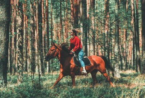 „Varėnės žirgai”