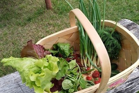 Ūkis „Kitoks daržas“