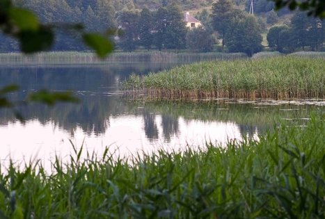 Veisiejai Manor Park