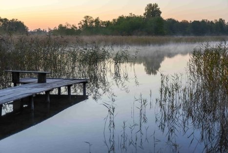 Veisiejai Manor Park