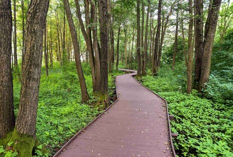 Veisiejai Manor Park