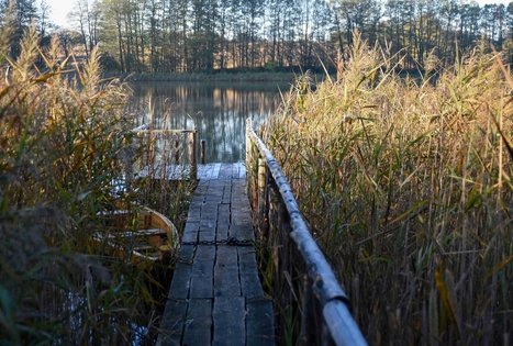 Veisiejai Manor Park