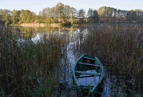 Veisiejai Manor Park