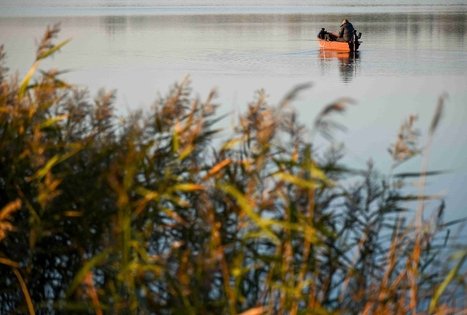 Veisiejai Manor Park