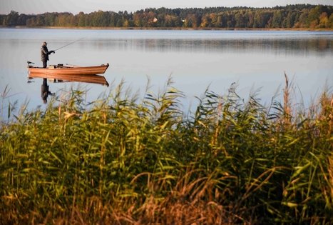 Veisiejai Manor Park