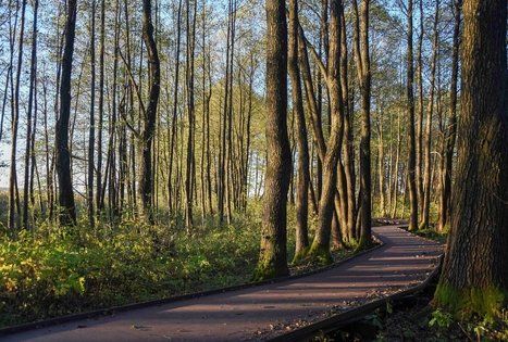 Veisiejai Manor Park