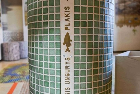 Directorate of Veisiejai Regional Park