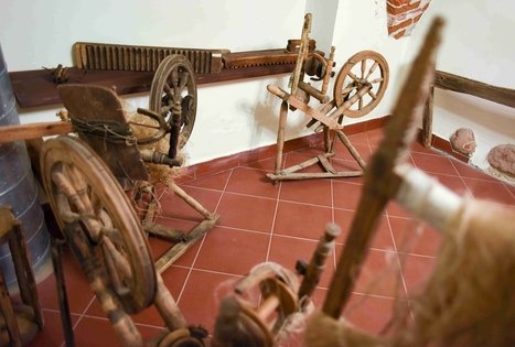 Directorate of Veisiejai Regional Park