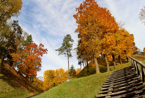 Veliuona Mounds