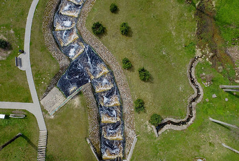 Viešvilės žuvitakis