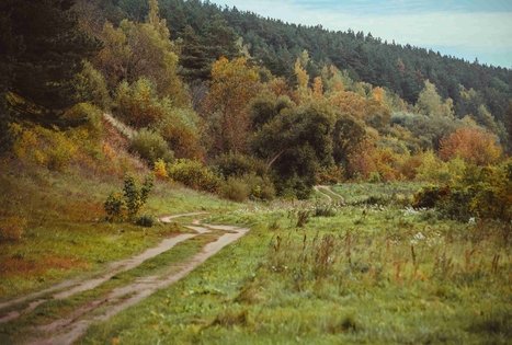 Vilkijos atodanga ir apžvalgos aikštelė