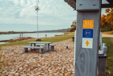 Vilkija ferry “Vilkynė”