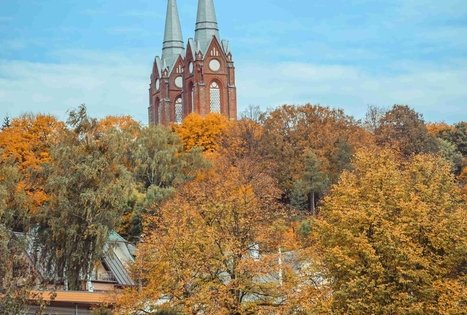 Vilkija ferry “Vilkynė”