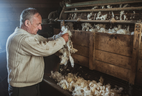 The craft of wool carding: for body warmth and comfort