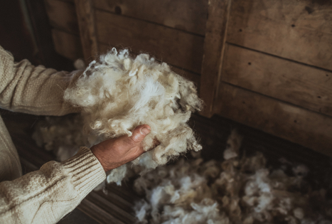 The craft of wool carding: for body warmth and comfort