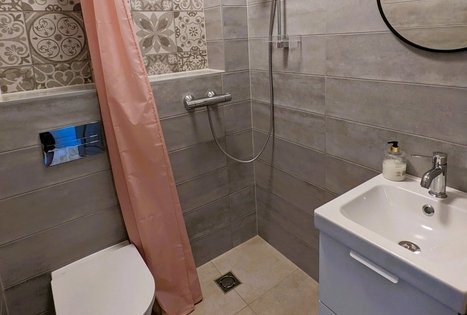 Vila vynuogyne
