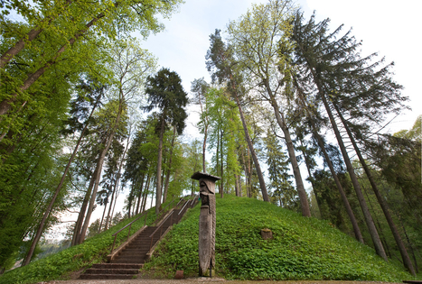Vytautas Hill