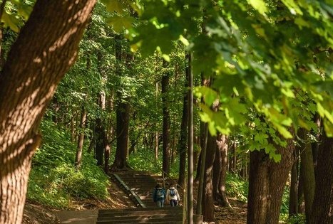 Vytautas Park in Kaunas