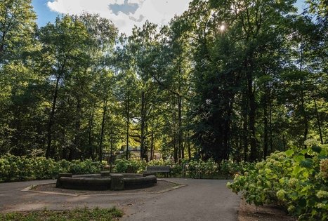 Vytautas Park in Kaunas