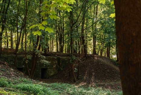 Vytautas Park in Kaunas
