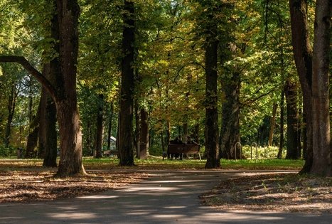 Vytautas Park in Kaunas