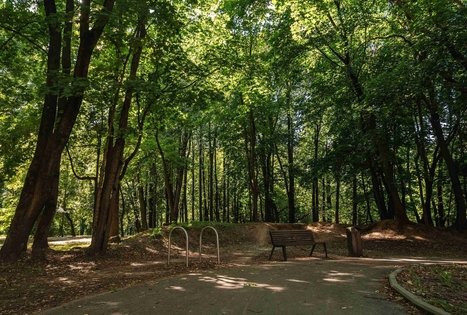 Vytautas Park in Kaunas