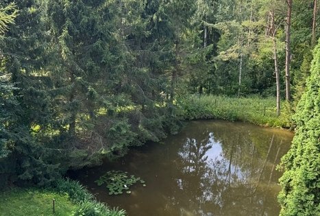Sodyba „Bagrėnžaris“