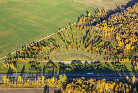 Žalgirio mūšio memorialinis parkas