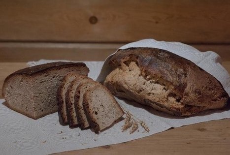 Daily bread