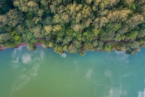 Žiegždrių geologinis takas