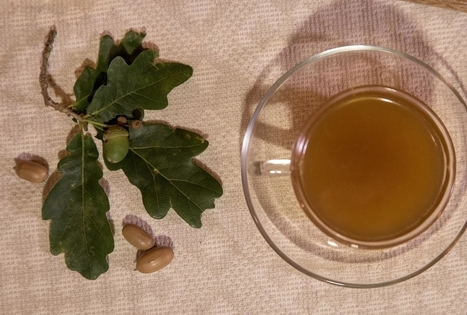 Gilių kava pas Almirą Didžiokienę