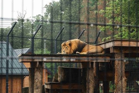 Lietuvos zoologijos sodas