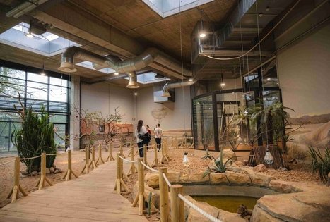 Lietuvos zoologijos sodas