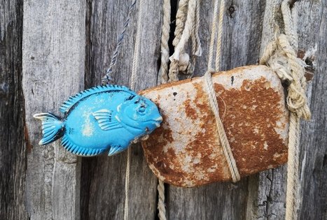 Neringa fishermen's education