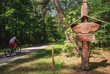 Forest Trail 60. Birštonas – Alksniakiemis.