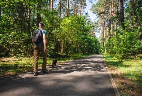 Forest Trail 60. Birštonas – Alksniakiemis.
