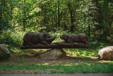 Forest Trail 60. Birštonas – Alksniakiemis.