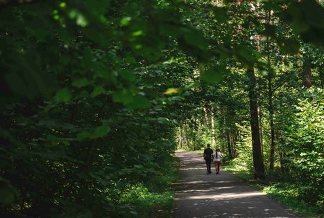 Forest Trail 60. Birštonas – Alksniakiemis.