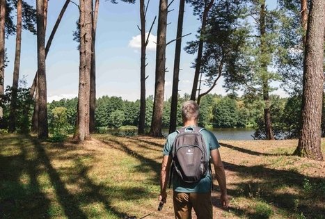 Forest Trail 60. Birštonas – Alksniakiemis.
