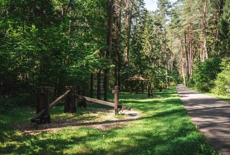 Forest Trail 60. Birštonas – Alksniakiemis.