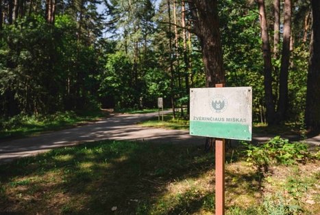 Žvėrinčiaus miškas