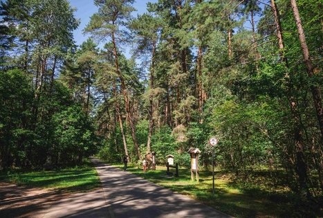 Žvėrinčiaus miškas