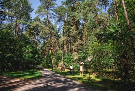 Forest Trail 60. Birštonas – Alksniakiemis.