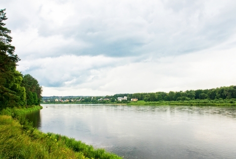 Žvėrinčiaus miškas