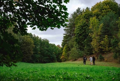 Forest Trail 62. Pakuonis – Vaišvydava.