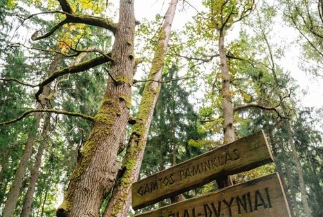 Forest Trail 62. Pakuonis – Vaišvydava.