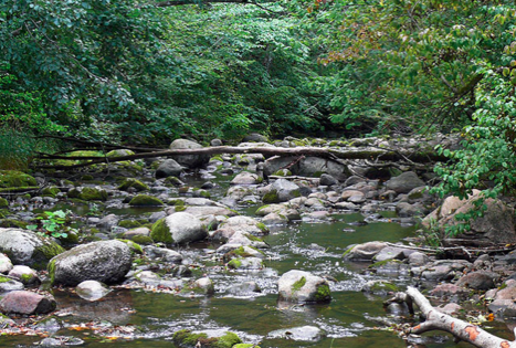 Žygiai Žvelsos slėnyje