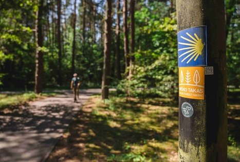 Forest Trail 60. Birštonas – Alksniakiemis.